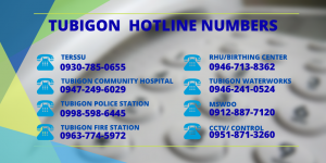 Green Covid-19 Simple Directory Hotlines Twitter Post (1)